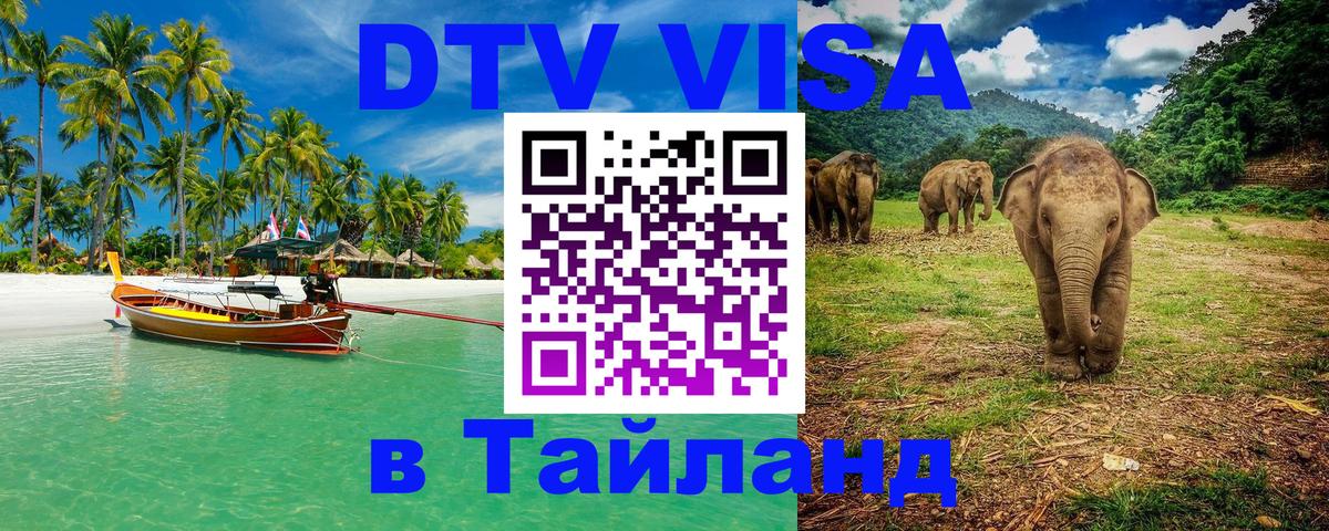 Оформление DTV визы под ключ: стоимость и тарифы, только загранпаспорт - Воронеж 